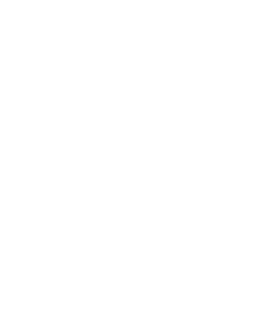 Futebol